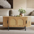 Table Basse, Dimensions 100 x 50 x 40 cm