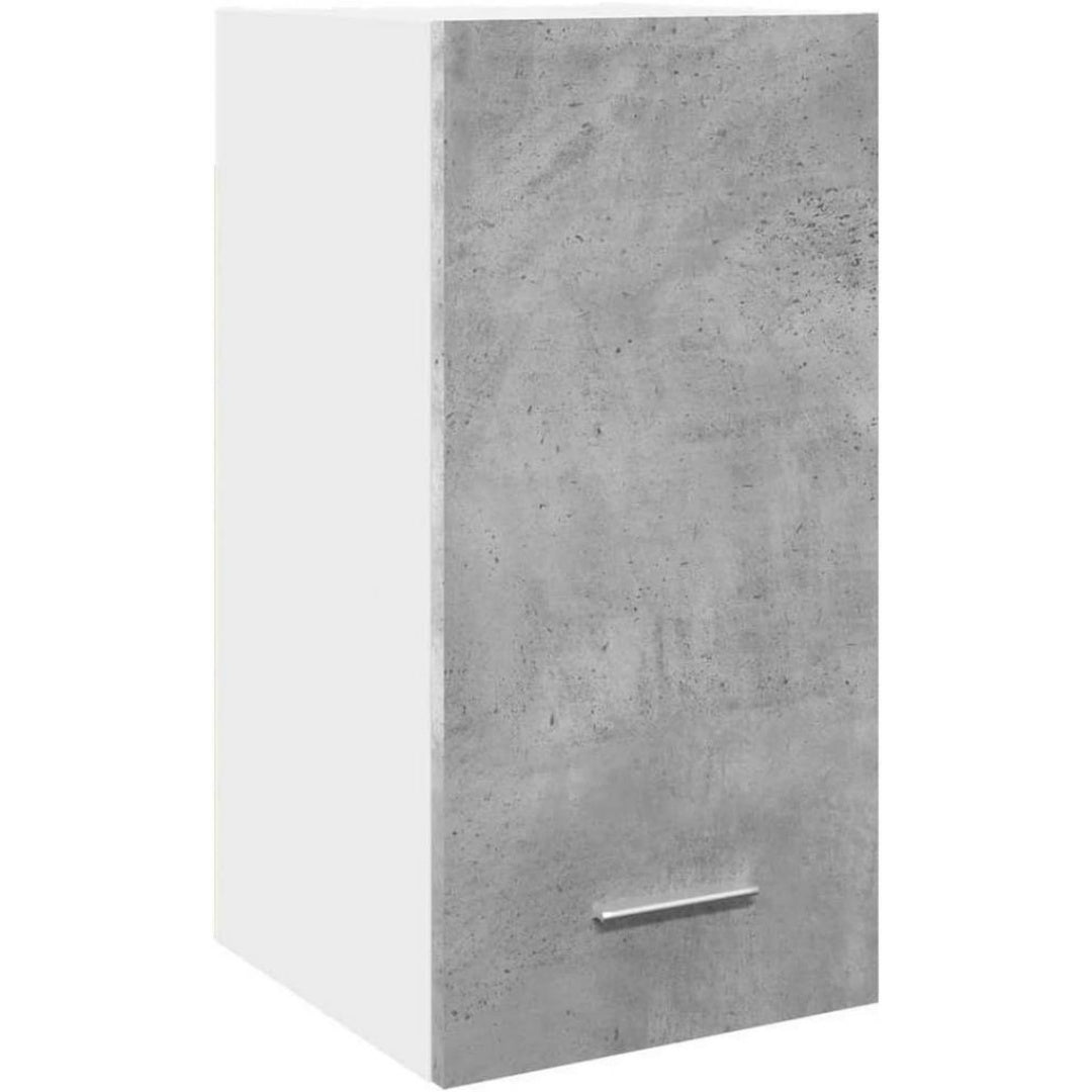 Armoire Suspendue Murale Style Moderne et Polyvalent